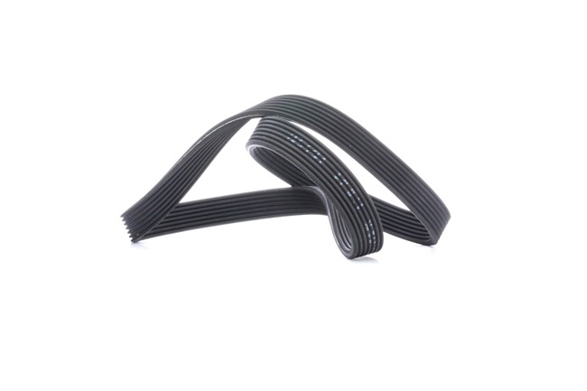 Dirzas pleistiskas polifoninis FEBI BILSTEIN VW SHARAN 34463