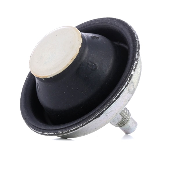 Febi Bilstein 37164 – Supporto Motore (Sospensione) – Compatibile Con Fiat Punto (188) – Lato Destro Superiore