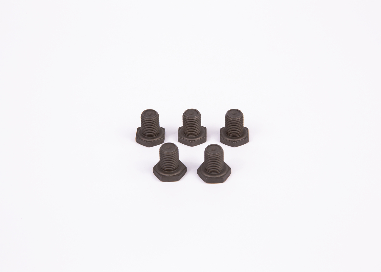 BOSCH 113180 Skrutka 1 413 450 010