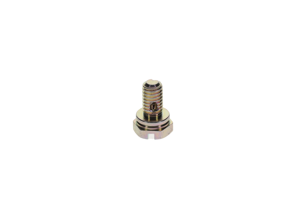 BOSCH 1 413 453 025 schroef 197002