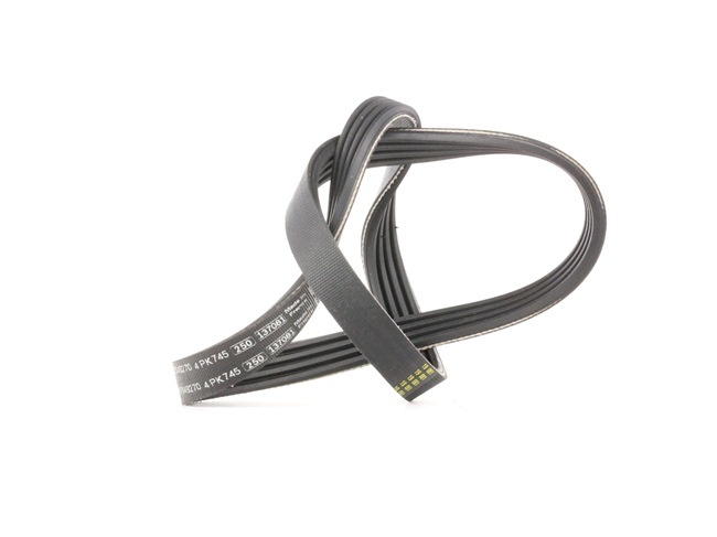 BOSCH 1 987 946 270 multiriem 8200830181