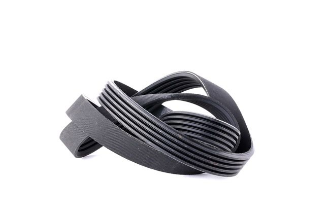 Ιμάντας poly-V DAYCO ROVER RV8 5PK1150