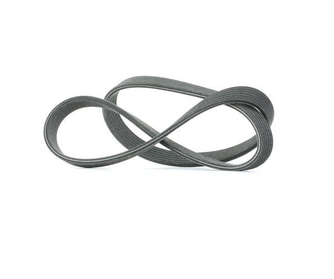 6DPK1195 DAYCO multireim pris