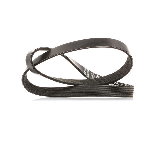 DAYCO 8V2Q-6D314-AB Keilrippenriemen 6PK1019EE
