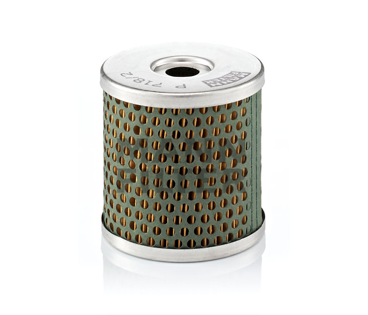 MANN-FILTER P 718/2 x di prima qualità a prezzi equi