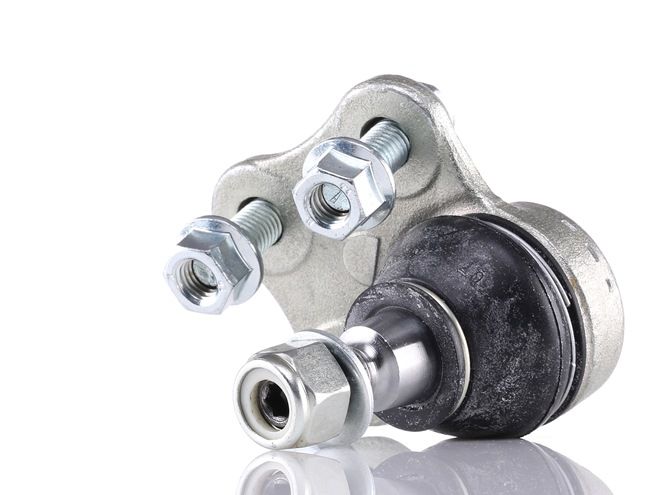 Šarnyras 39493 FEBI BILSTEIN Šarnyras kaina