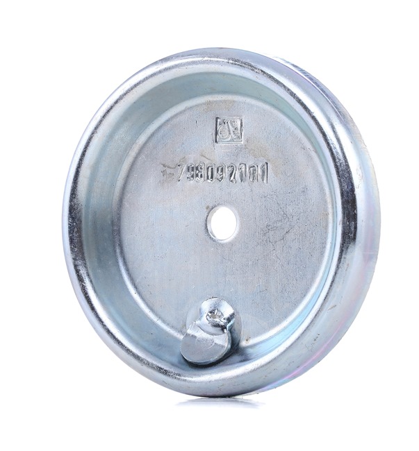 DT Spare Parts 2.62054 plaat met opstaande kant, luchtveerbalg 1599326