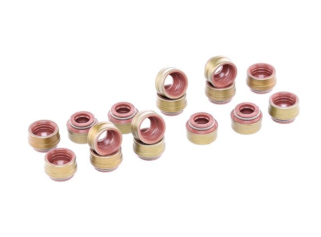 REINZ 12-29491-01 Qualidade suprema e preços competitivos