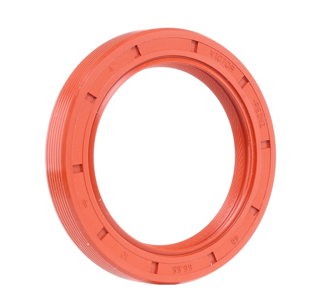 REINZ 81-25789-00 Paraolio albero motore Saab 9-5 Sedan originale prezzo