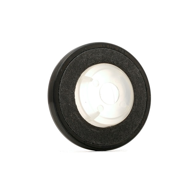 REINZ 81-34313-00 qualité haut de gamme et prix abordables