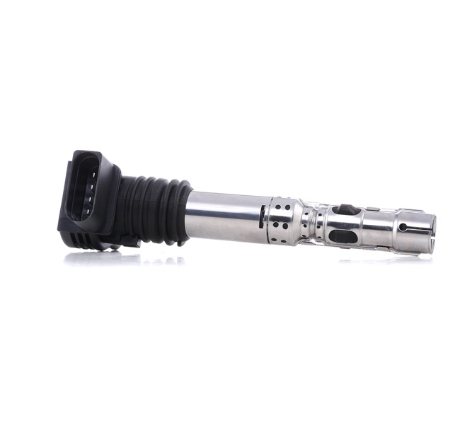 DELPHI GN10236-12B1 Zündspule Audi A3 8L