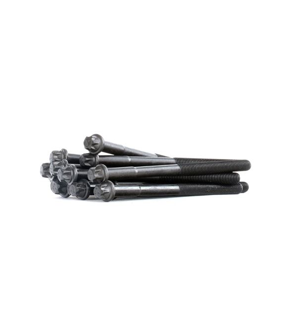 PAYEN HBS041 cilinderkopbouten 11 12 1 722 021