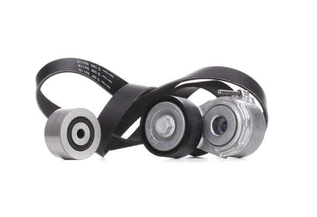 INA 529 0019 10 poly v-riem set 5750.C9