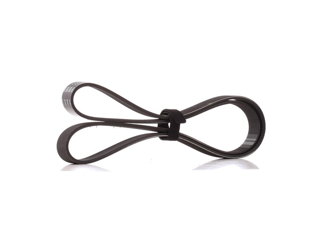 SNR LR0 03570 Cinghia servizi CA6PK1200