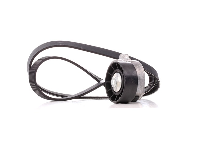 DAYCO KPV179 Cinghia servizi PEUGEOT 308 SW I Van / Station Wagon (4E_) originale prezzo