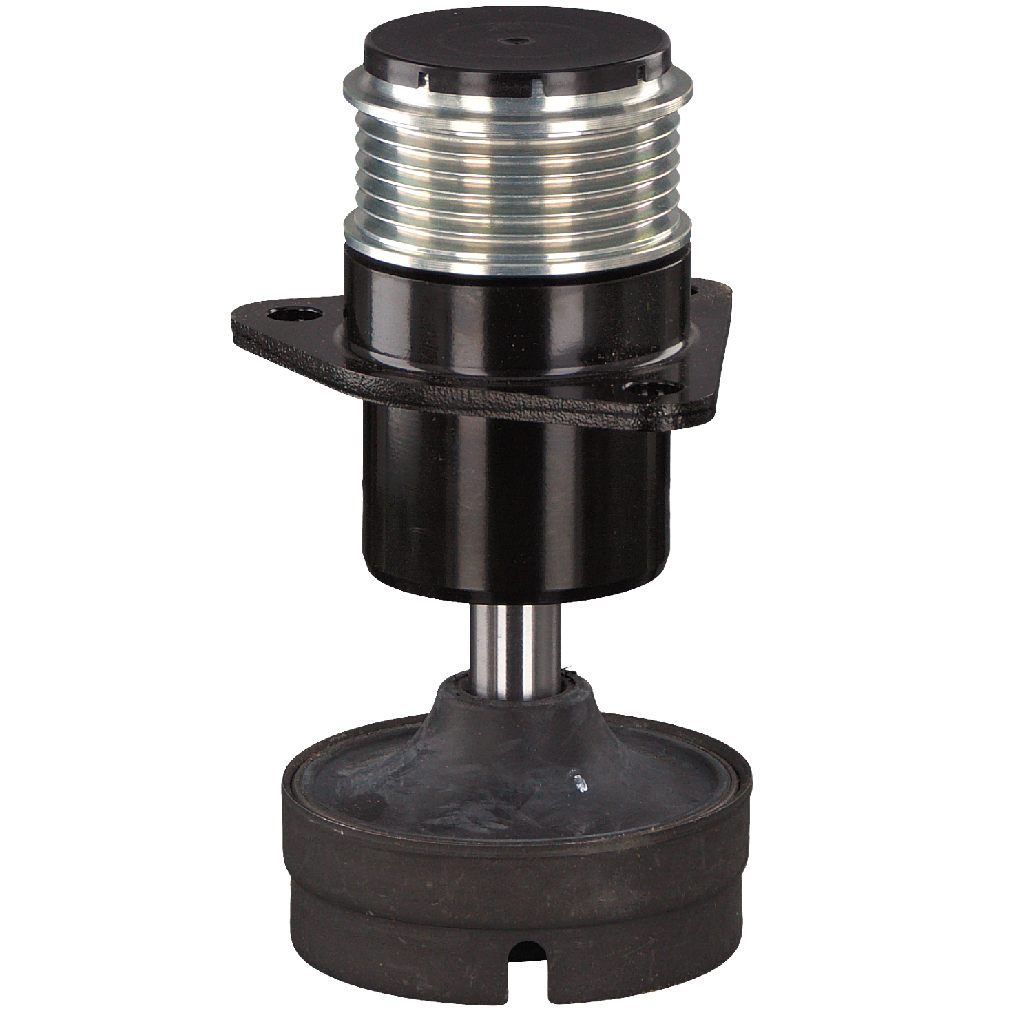 FEBI BILSTEIN 39950 Polia do alternador Ford Focus Mk1 preço