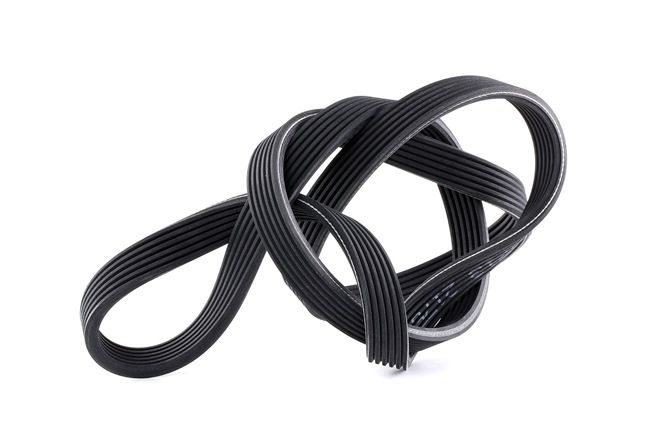 MAPCO Kilerem 261697D til favorabel pris