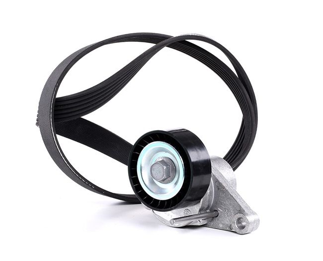 Dirzas pleistiskas polifoninis GATES CITROËN C3 K016PK1070