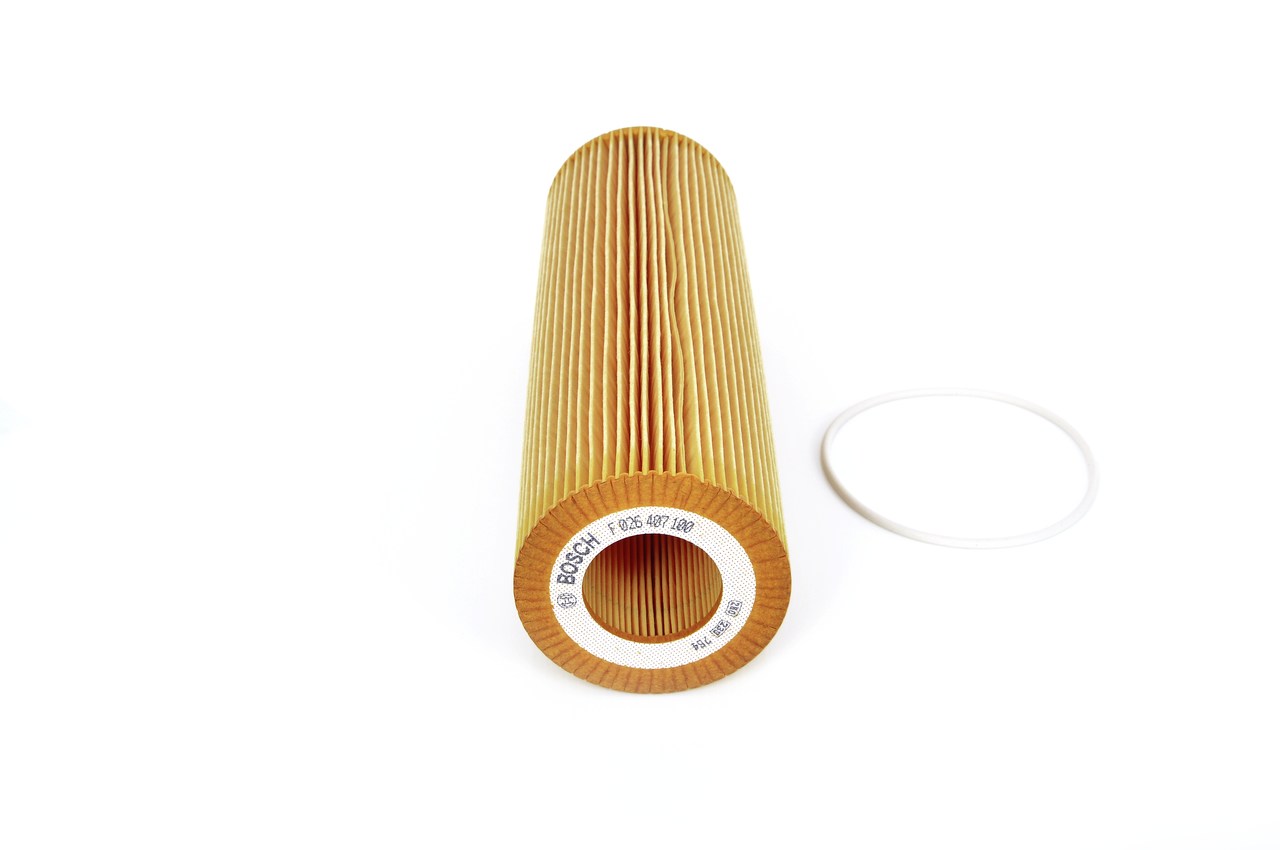 BOSCH F 026 407 100 oliefilter 2 022 275