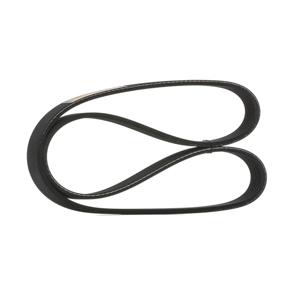 STARK SK-6PK855 Correia do alternador Octavia 1z5 1.6 LPG 102 cv Gasolina/gas (GPL) 2009