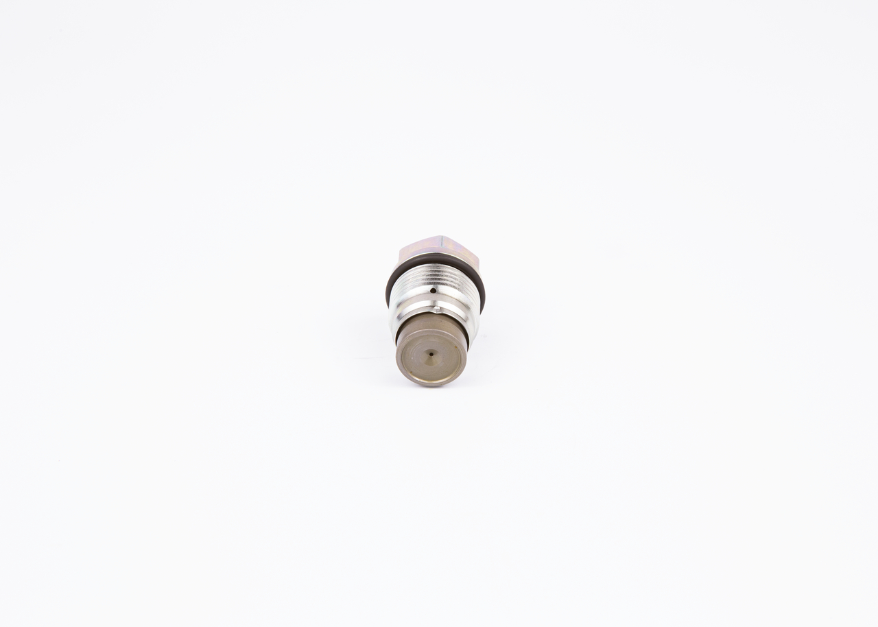 BOSCH 1 110 010 013 höchste Qualität