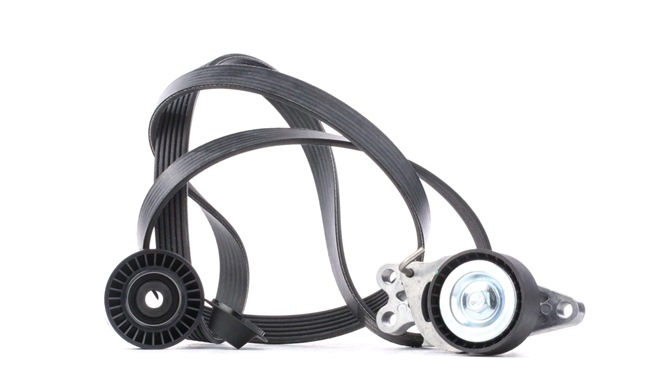 Generatoriaus dirzas SKF CITROËN C6 VKMA 33302