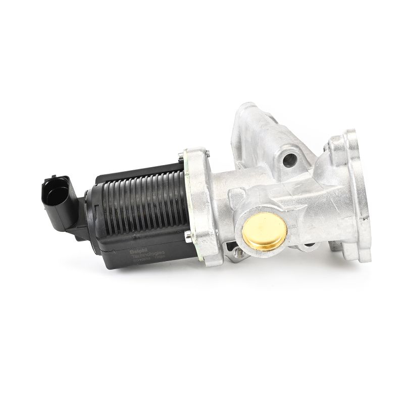 DELPHI EG10258-12B1 Válvula EGR Corsa C X01 2006 originales precio