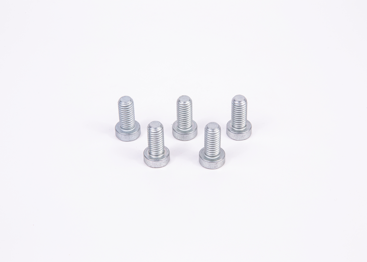 Tornillo BOSCH F 01M 100 684