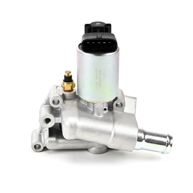 EG10288-12B1 DELPHI 9117397 AGR-Ventil