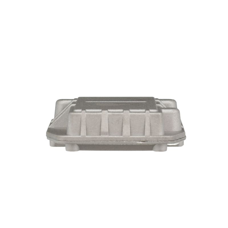 DELPHI 89621 16020 Riadiaca jednotka zapaľovania DS10064