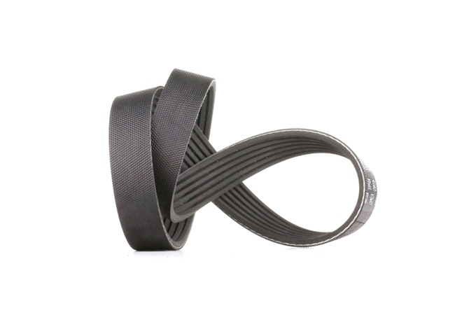 GATES 96144504 Cinghia servizi 6PK730