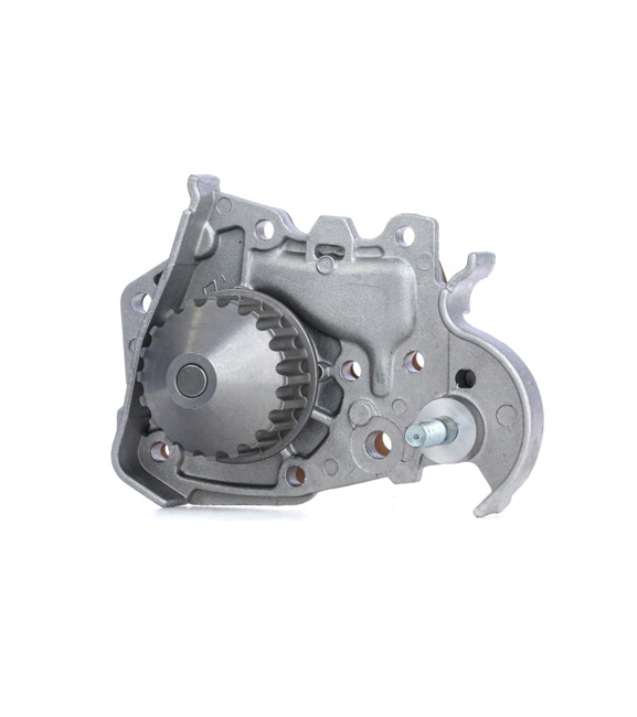 DOLZ R135 Bomba de água Clio 2 1.4 (B/CB0C, B/CB0S) 75 cv Gasolina 1998