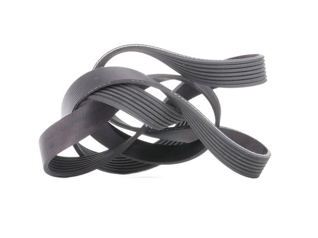 GATES 7PK1785 Cinghia servizi Honda CR-V II originale prezzo
