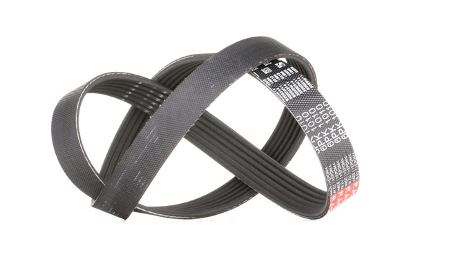 Ribrem GATES CITROËN JUMPER 6PK1010