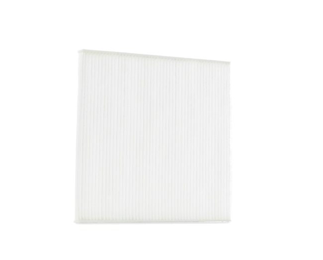STARK SKIF-0170169 Salono filtras Renault Scenic 1 1.6 BiFuel 102 AG benzinas / suskystintos dujos (LPG) 2003