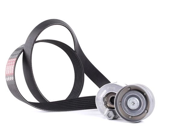 Multireim GATES RENAULT TWIZY K017PK1125