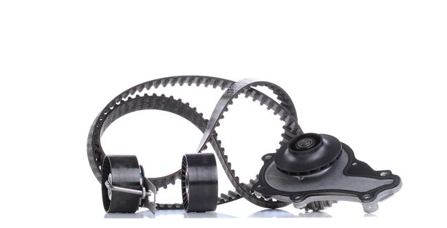 INA Y65512205 Kit de distribution + pompe à eau 530 0612 30