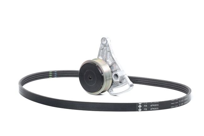 INA 529 0099 10 Kileribberem Passat 3B6 2000