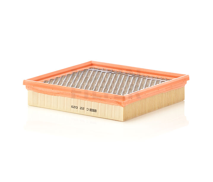 MANN-FILTER C 22 029 Filtro aria JEEP prezzo