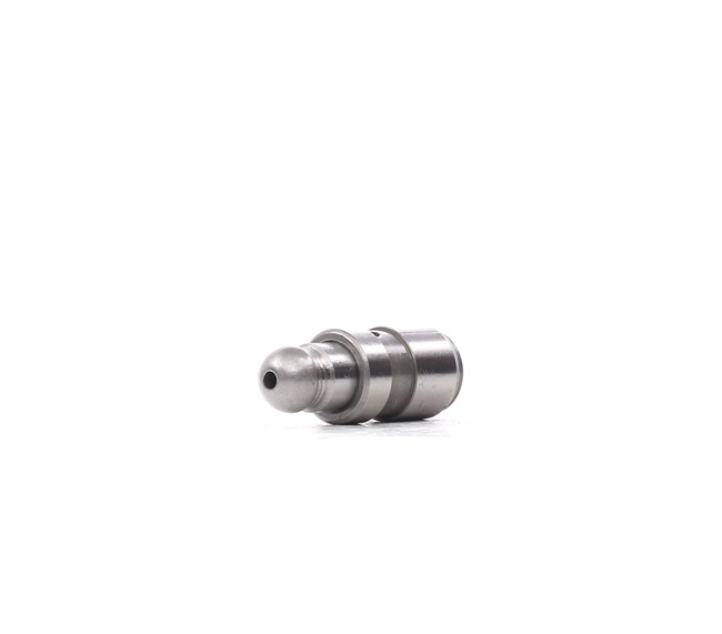 AE FOL185 Tappet BMW F20 118 i 170 hp Petrol 2013