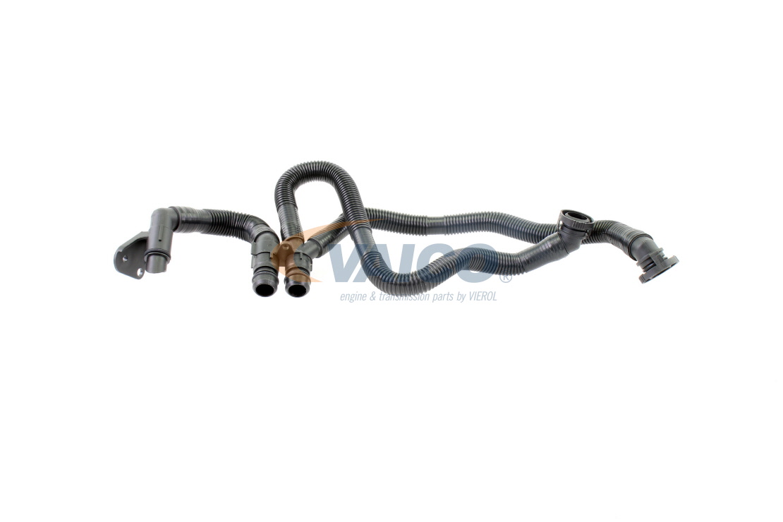 VAICO V10-3503 Letku, kampikammion tuuletus Audi A6 C6 Avant 3.2 FSI quattro 255 hv Bensiini 2008