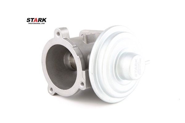 STARK SKEGR-0770068 Válvula egr BMW E91 318d 2.0 122 cv Diesel 2006