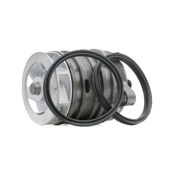 SKF Pompa acqua VKPC 81420 a buon mercato