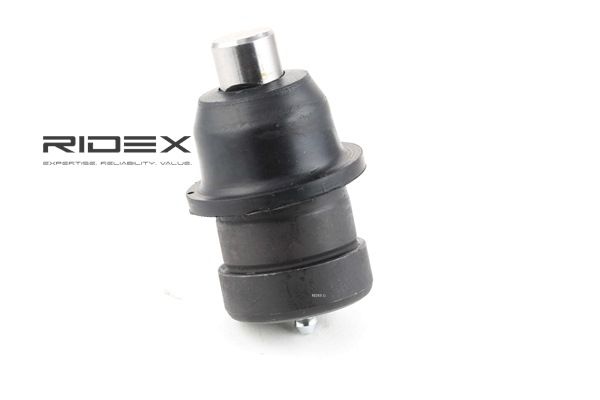 RIDEX 2462S0120 Šarnyras Chrysler Voyager 2
