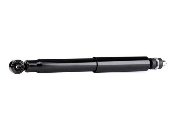 RIDEX 854S0131 Kvalitet och schyst prissättning