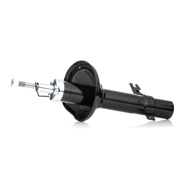 RIDEX 854S0499 replacement Rover 200 RF shock absorber rear and front price