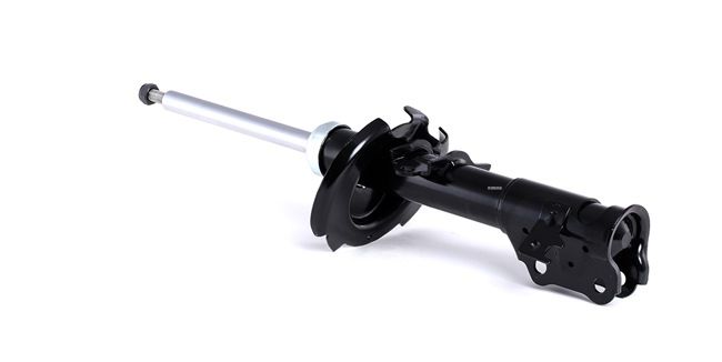 RIDEX 854S0702 A-kwaliteit en eerlijke prijzen