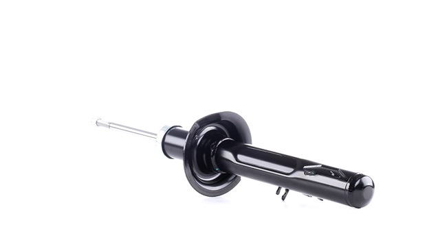 RIDEX 854S1048 Kvalitet och schyst prissättning
