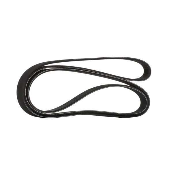 STARK SKPB-0090041 cinghia servizi BMW X1 E84 xDrive28i 3.0 264 CV Benzina 2011