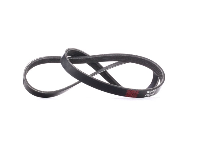 STARK SKPB-0090067 Correas, cadenas, rodillos Vectra C Familiar 2.2 direct 155 cv Gasolina 2005